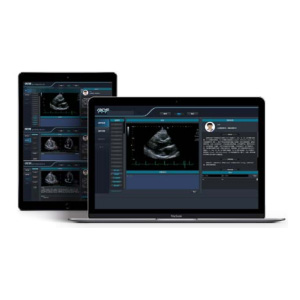 Ultrasound diagnostic thinking training system